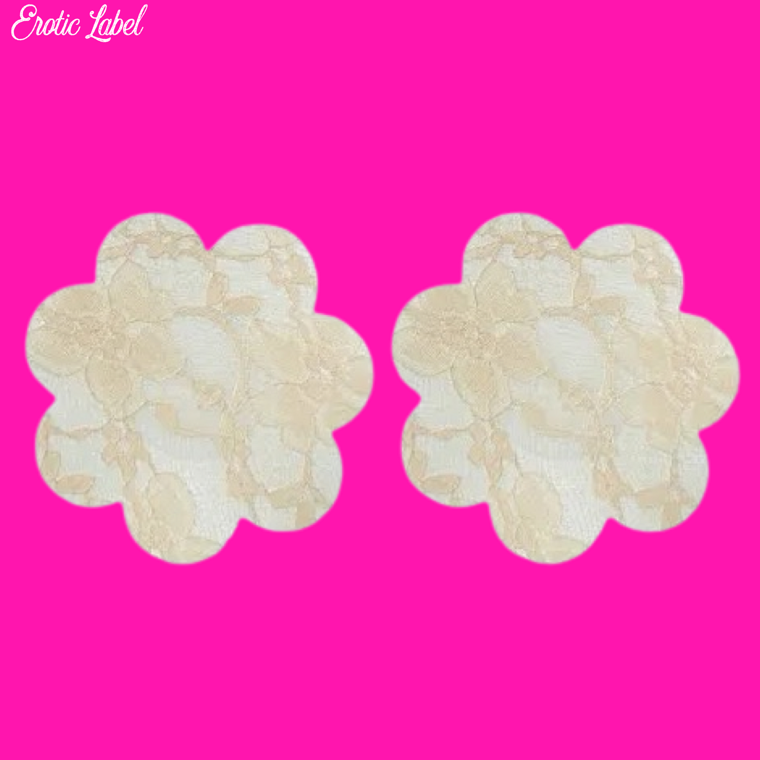 Nude Sheer Lace Pasties - Floral
