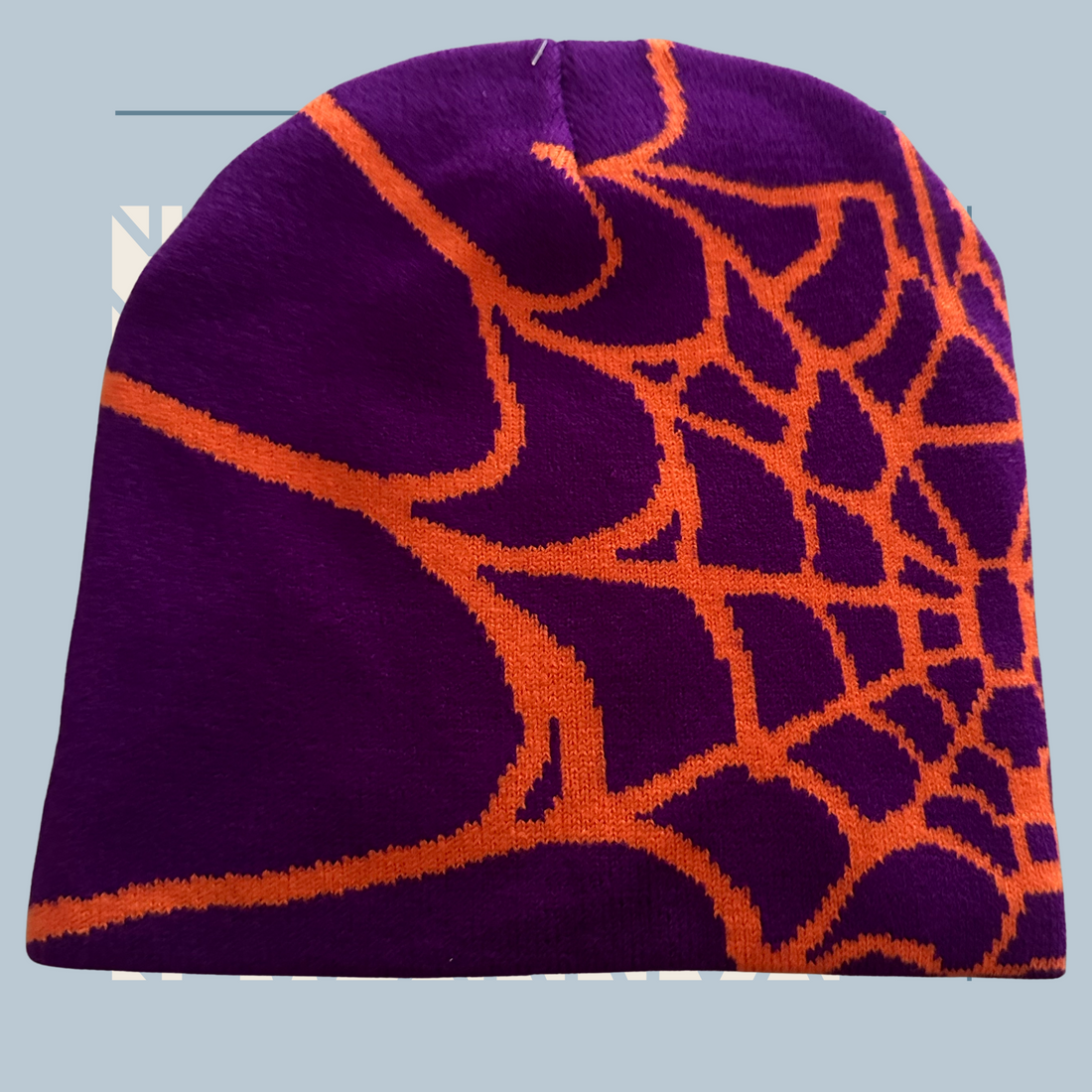 Caught In A Web- Beanie (Purple)