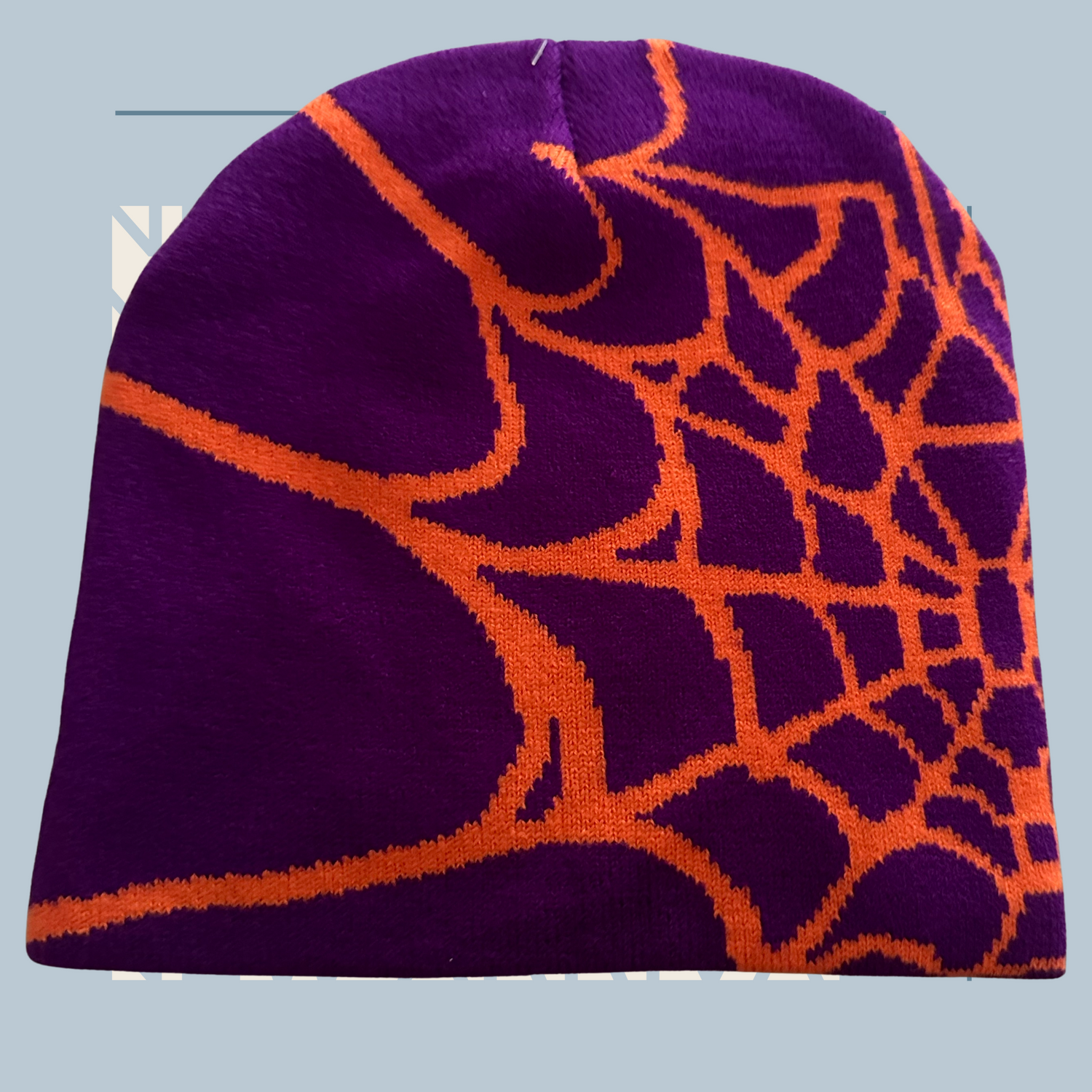 Caught In A Web- Beanie (Purple)