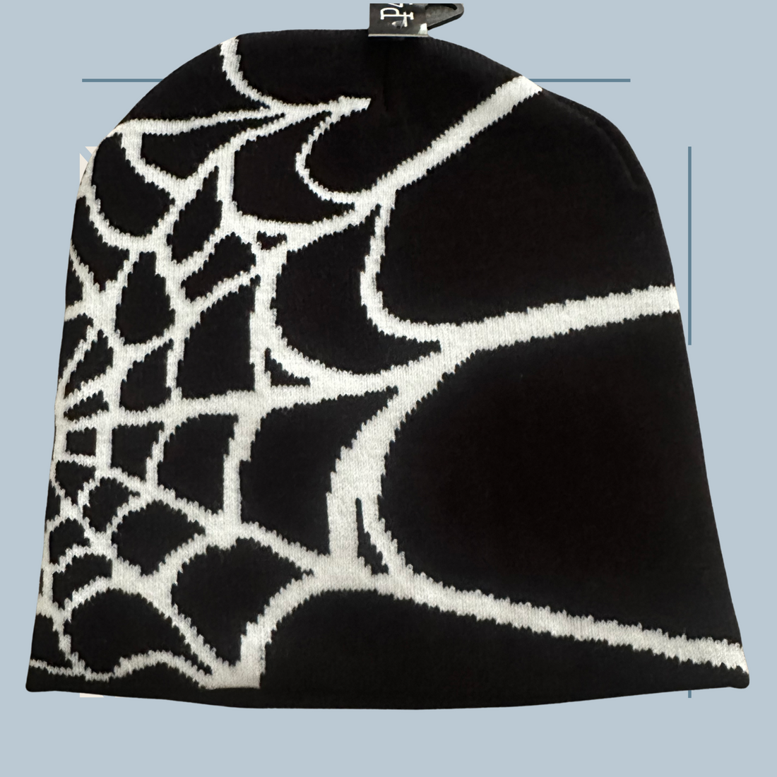 Caught In A Web- Beanie (Black)