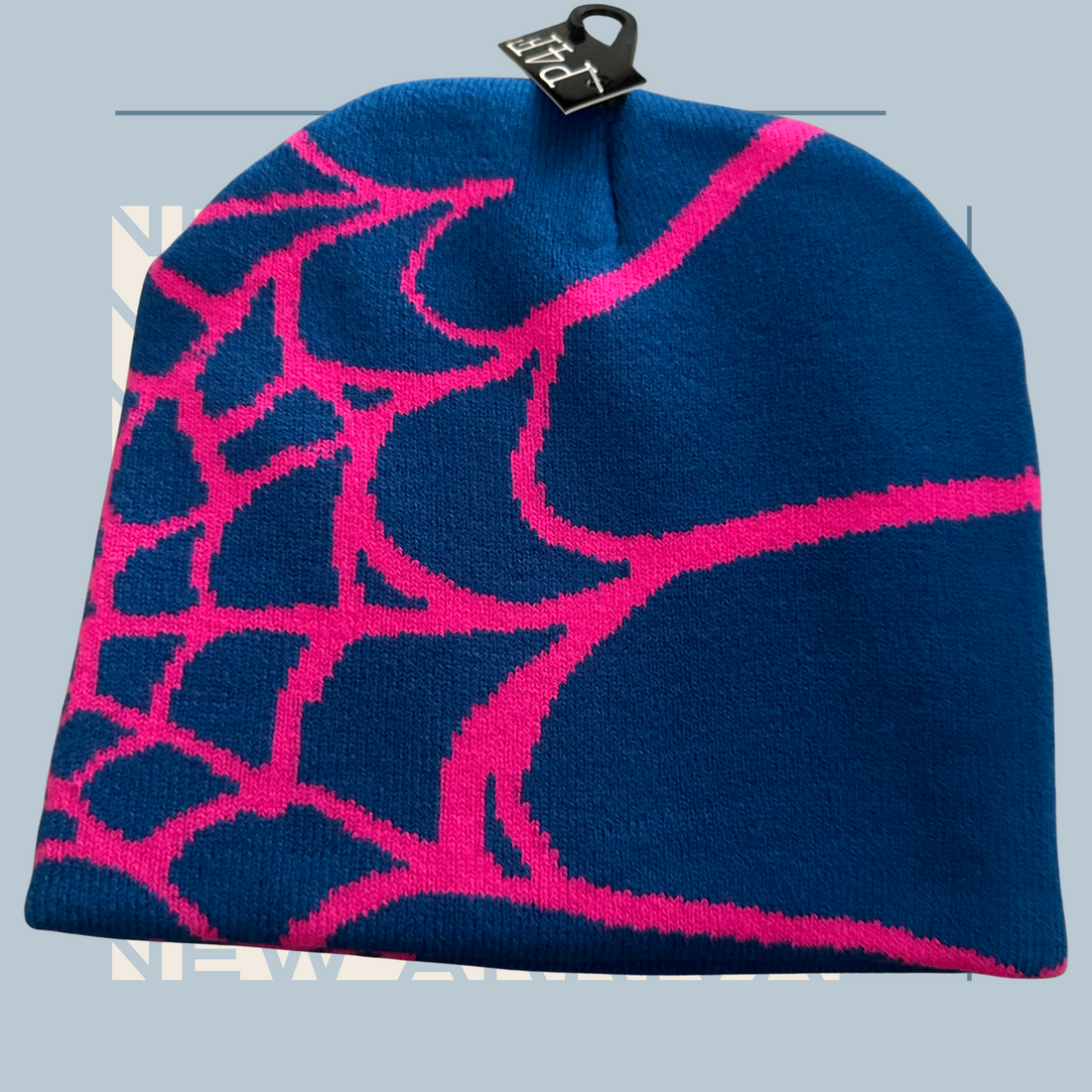 Caught In A Web- Beanie (Royal)